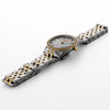 ROAMER SCALA