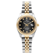 Jacques De Manoir Inspiration 31mm